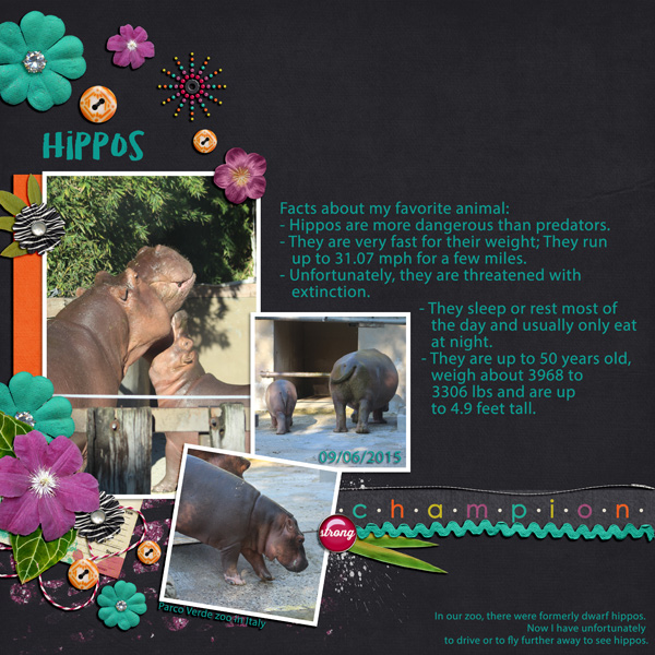 Hippos