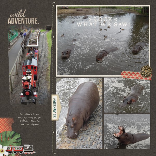 Hippos