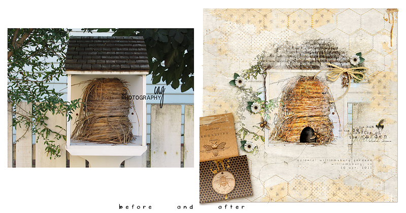 Hive actual photo to layout