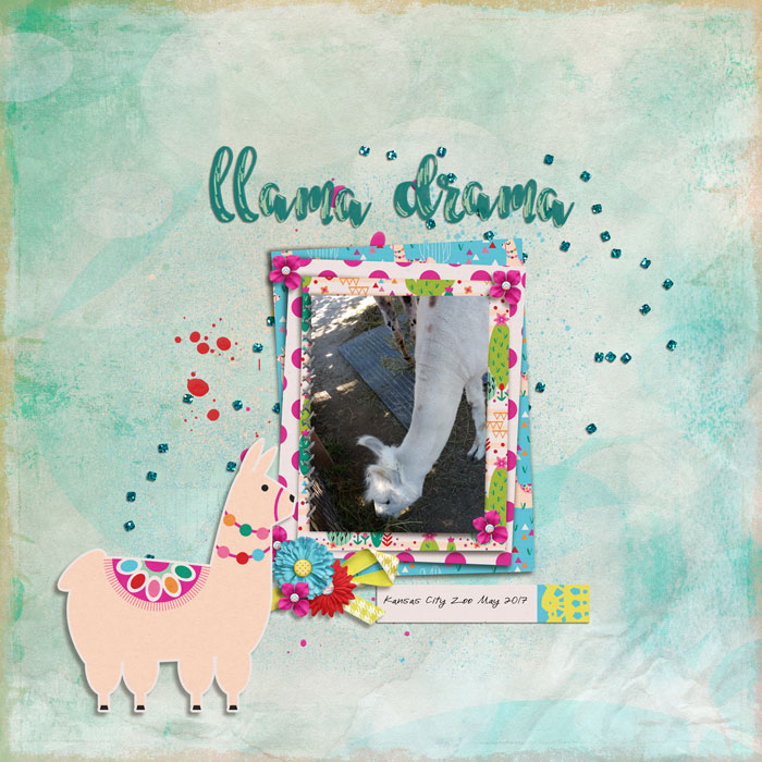 Hjoyce_llamadrama