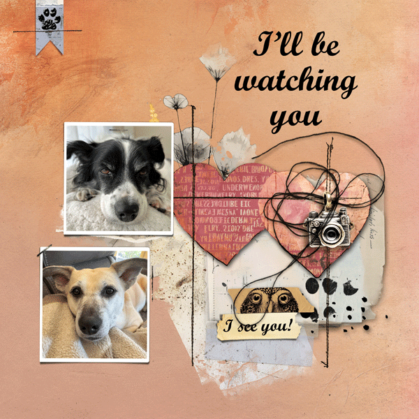 HMVChallenge#12_Watching_janisn