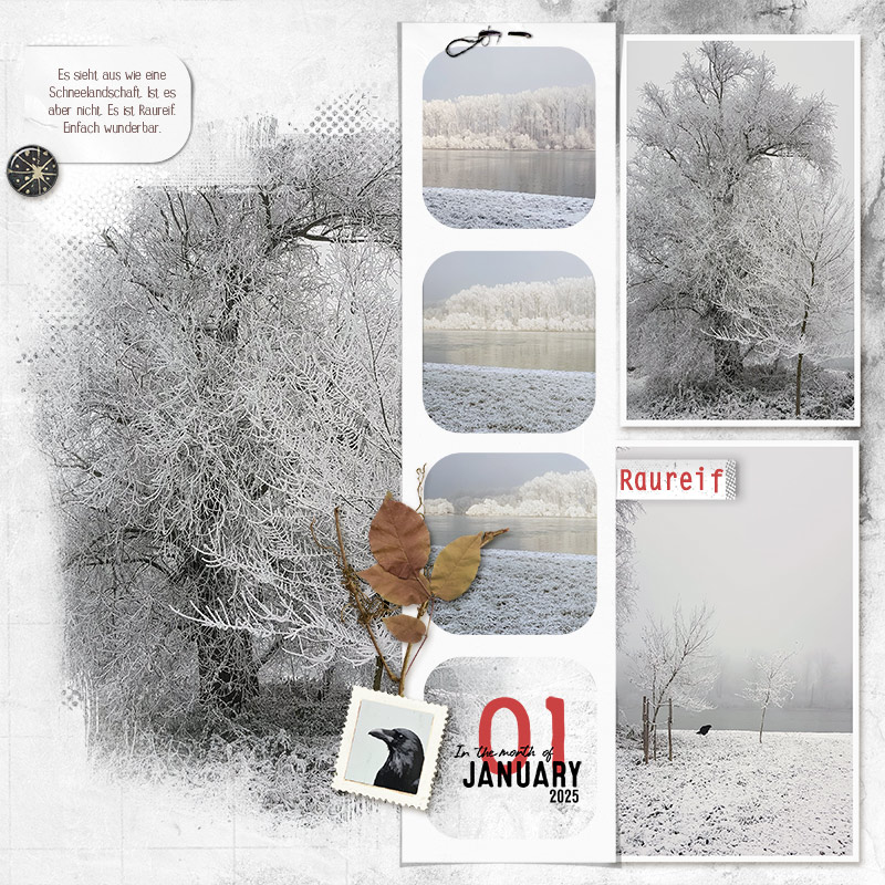 hoar frost