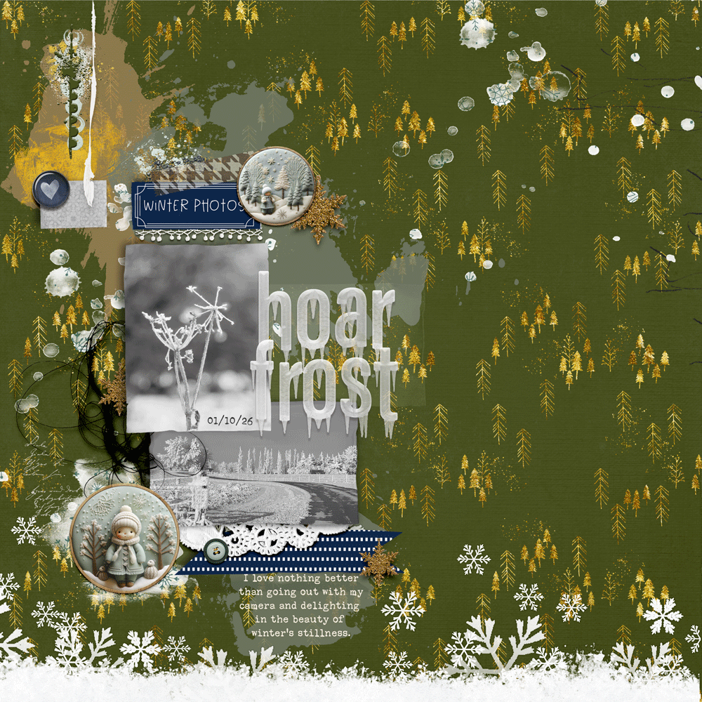 Hoar Frost