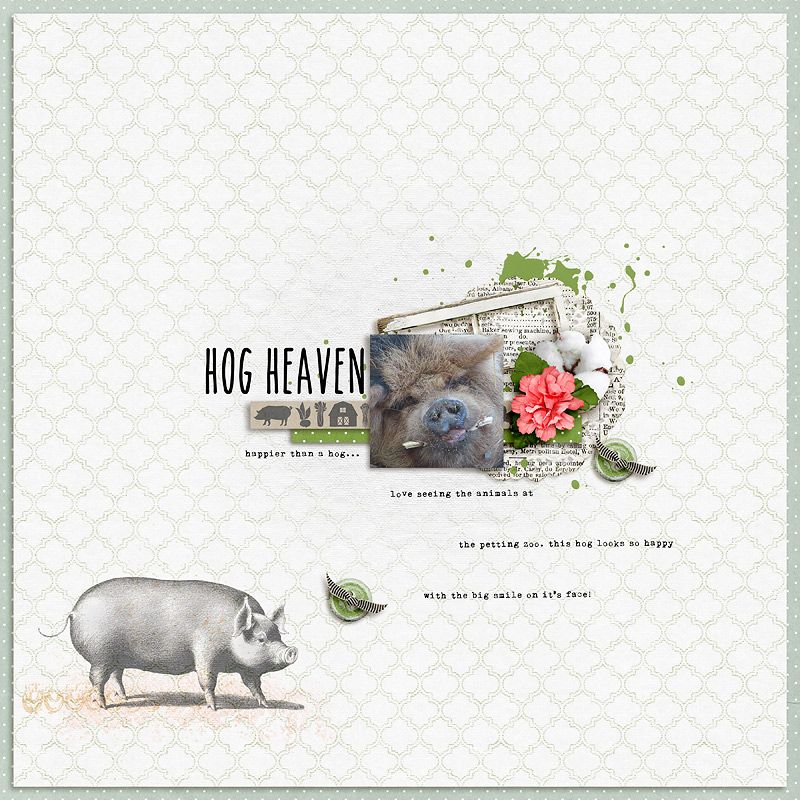 Hog Heaven