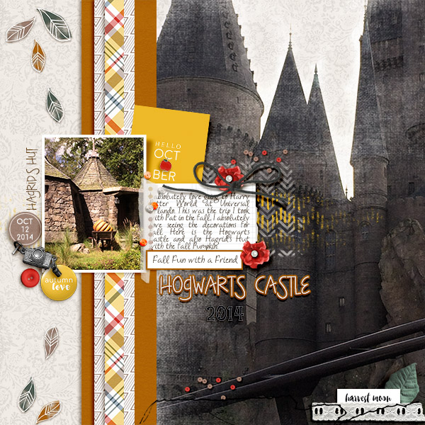 Hogwarts Castle