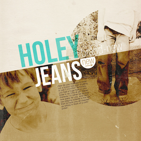 Holey  (brand-new) Jeans