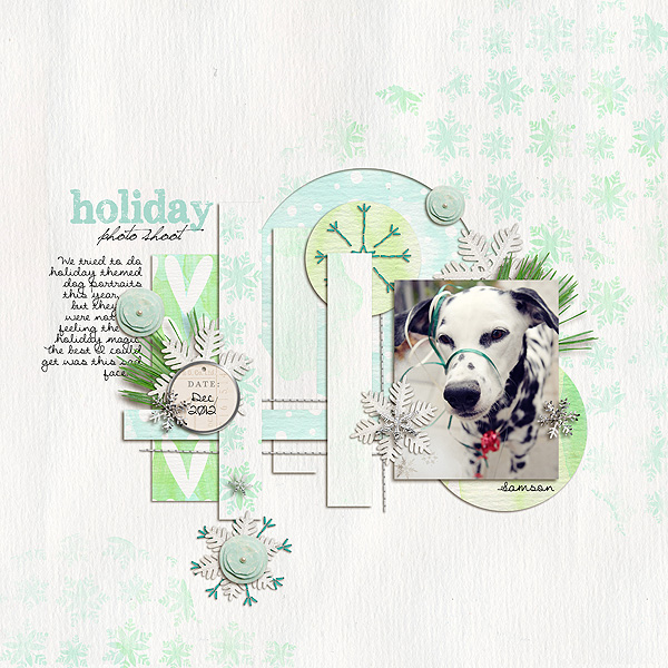 Holiday Photo Shoot