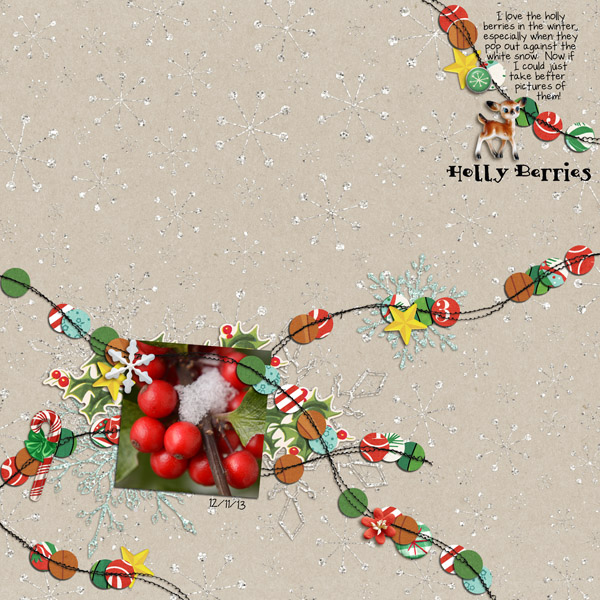 Holly Berries