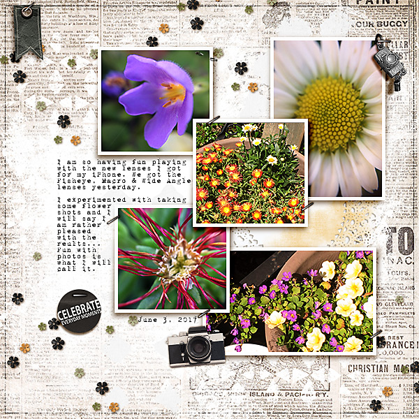 "Holy Macro!!" (june journal challenge)
