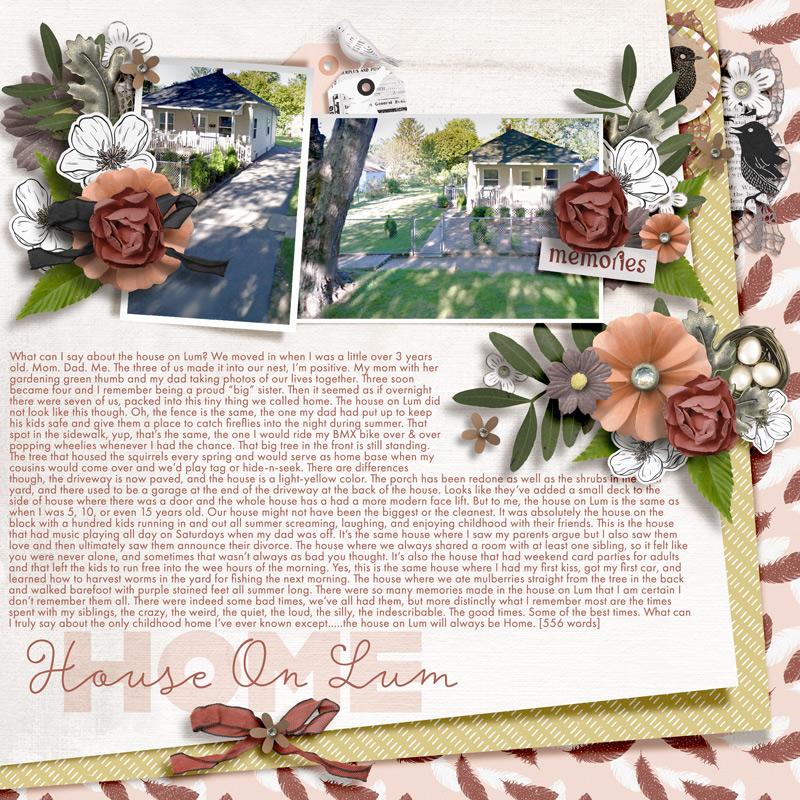 Home (Day 26)