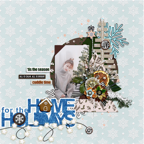 Home for Holidays