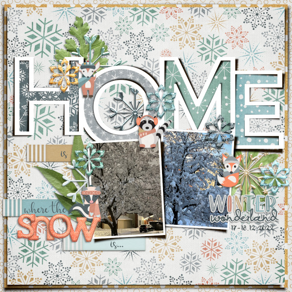 Home is where the snow is