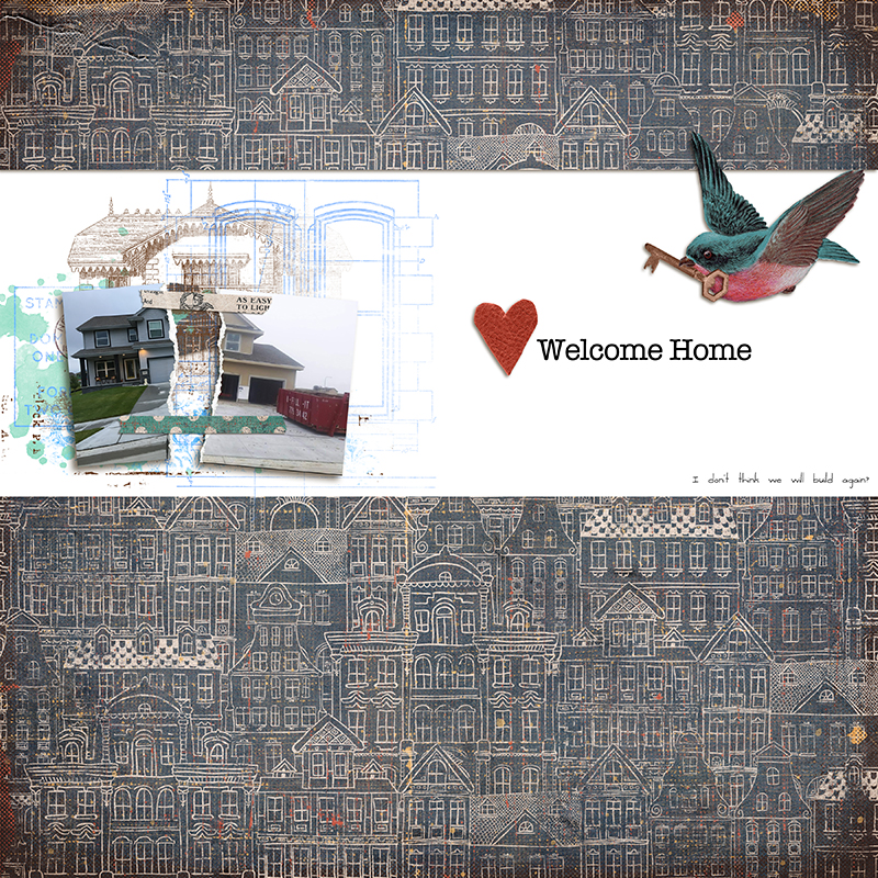 Home MOC 12 torn