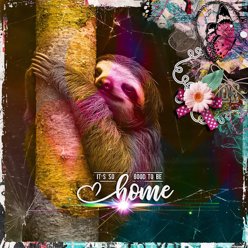 Home