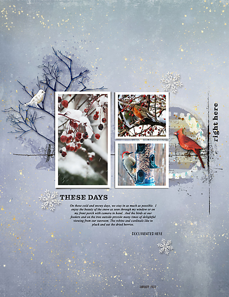 Homely_Iced_flowersgal_web