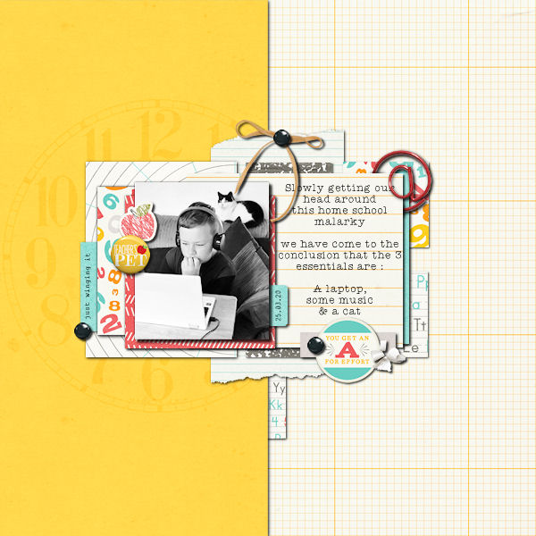 HOMESCHOOL ESSENTIALS