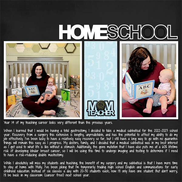 HomeSchool Mom