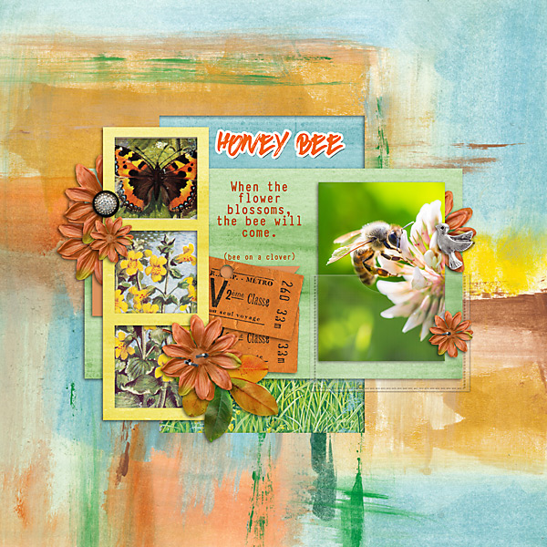 Honey Bee