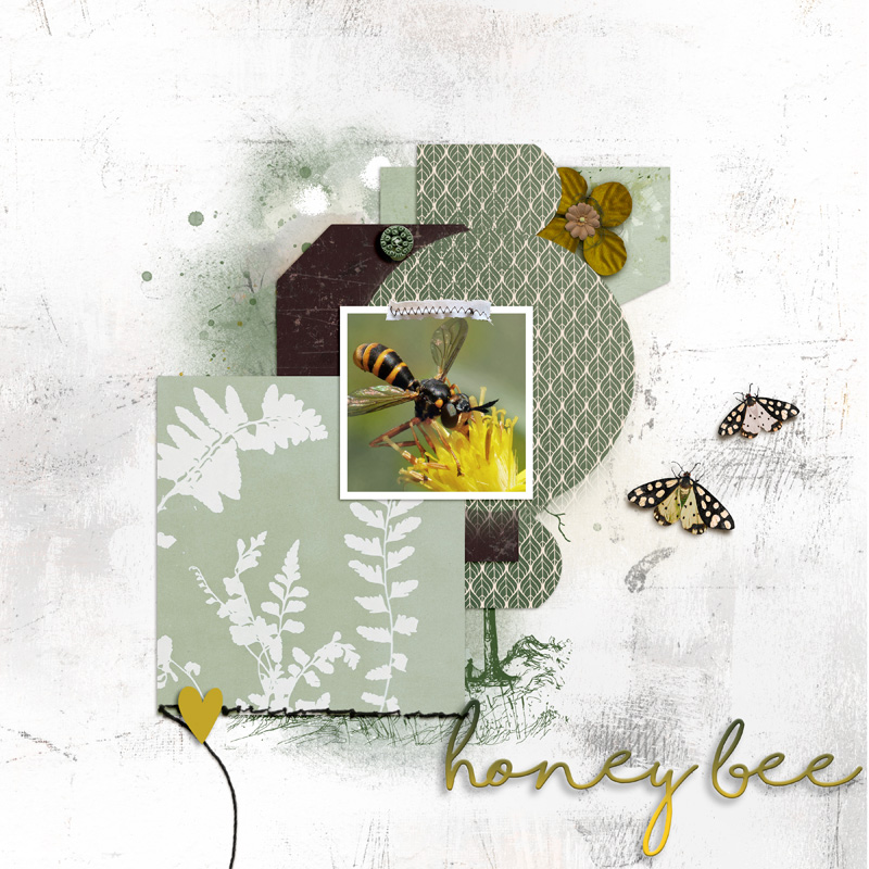 Honey Bee