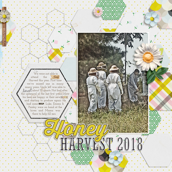 Honey Harvest 2018