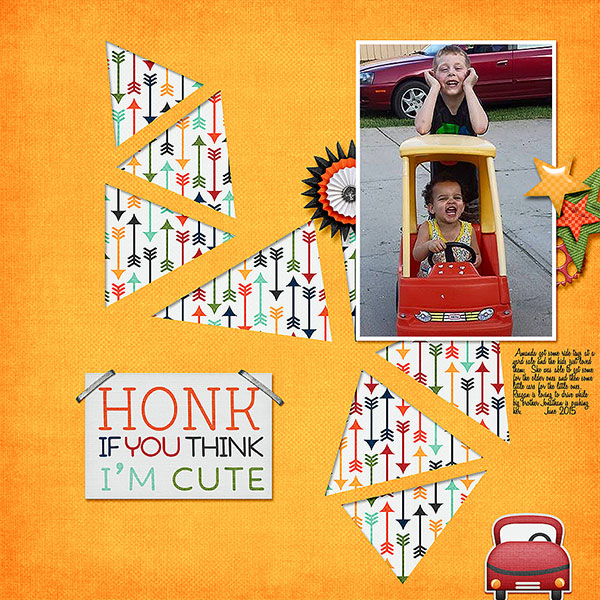 Honk-if-I-am-Cute_Reaga
