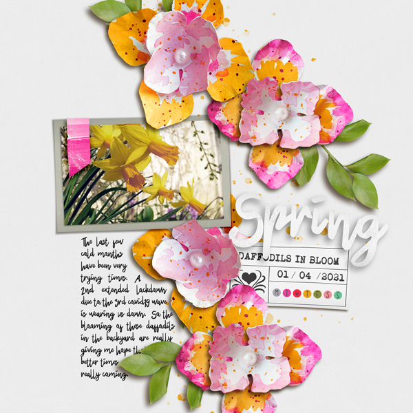 Hope Springs