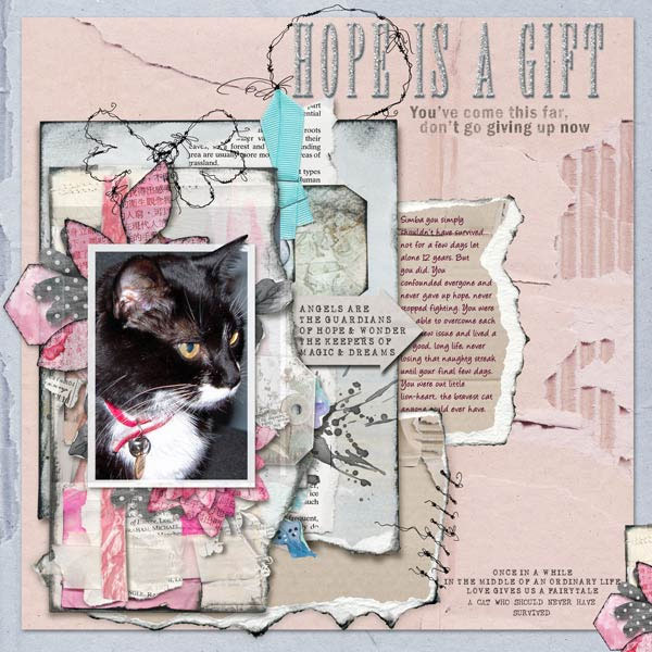 Hopes-deams