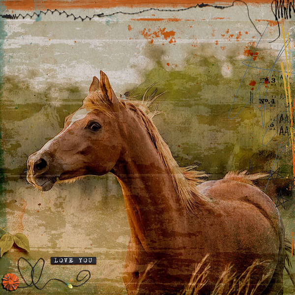 Horse