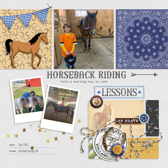 Horseback Riding Lessons