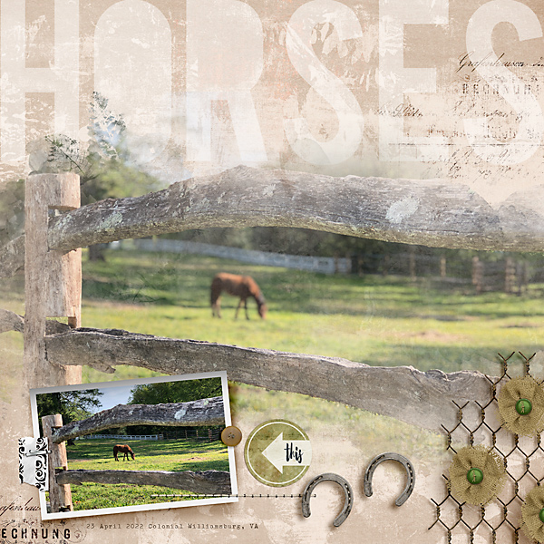 Horses