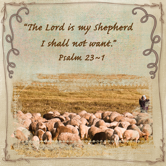 HOS-2_psalm 23