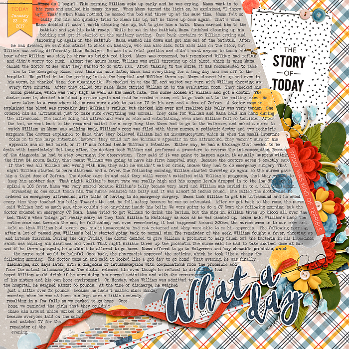 Hospital Journaling