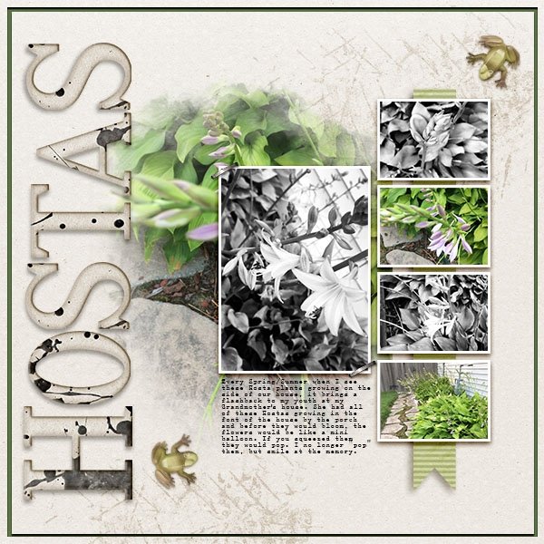 Hostas