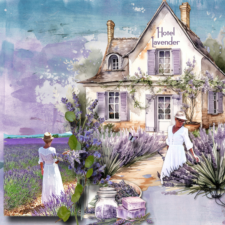 Hotel Lavender