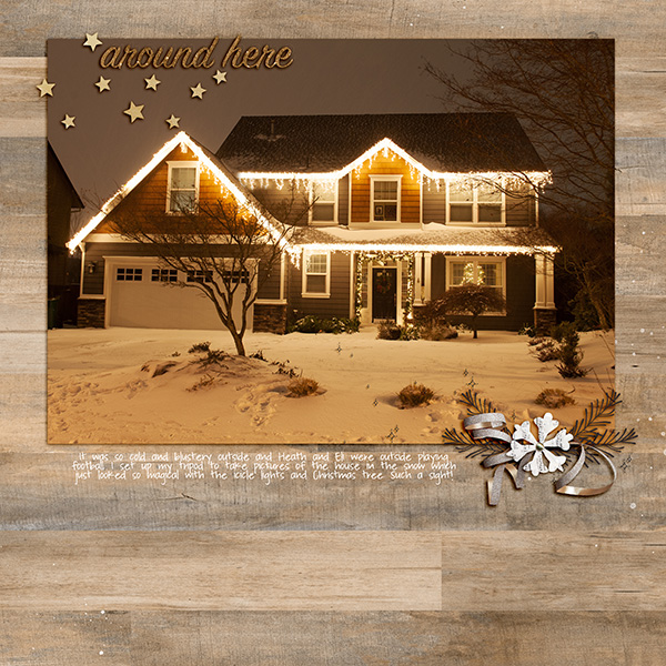 House In Snow