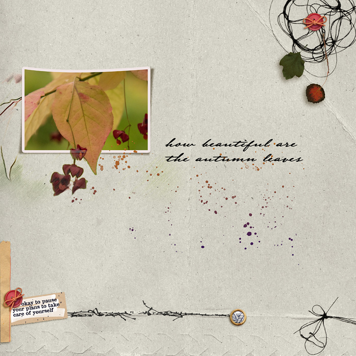 How beautiful are the autumn leaves