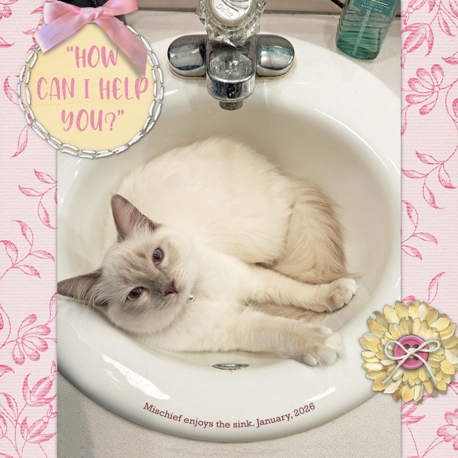 How Can I Help You? MOC28.jpg