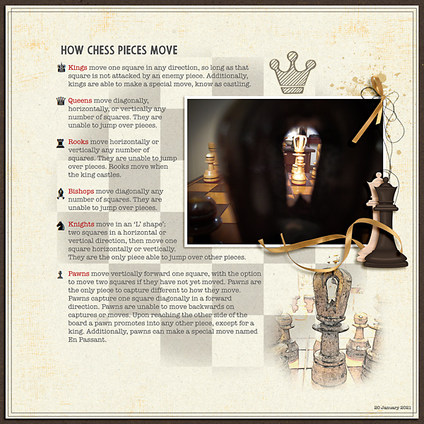 How Chess Pieces Move (MOC9 Day 20 Photography through object)