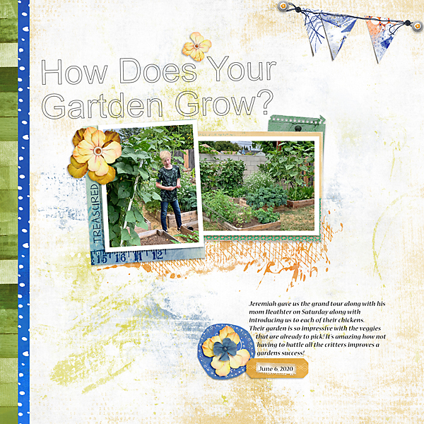 How Does Your Garden Grow