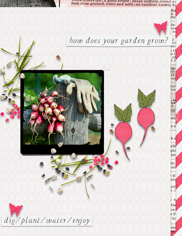 How Does Your Garden Grow