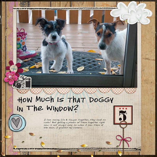 How Much Is That Doggy In The Window?