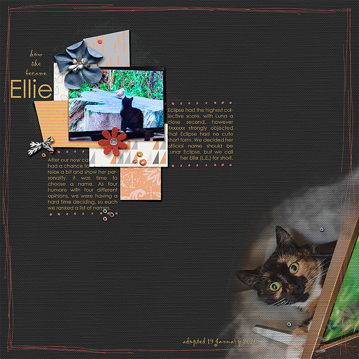 How She Became Ellie
