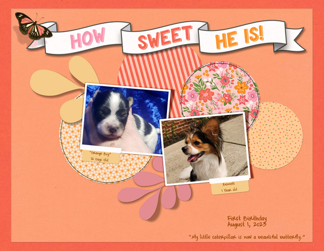 How-Sweet-He-Is