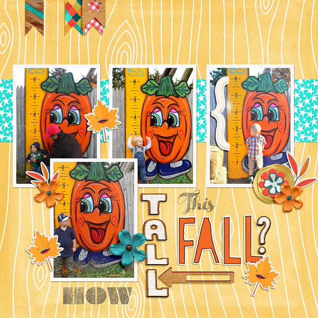 How-tall-this-fall