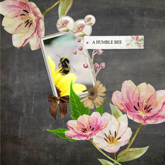 Humblebee