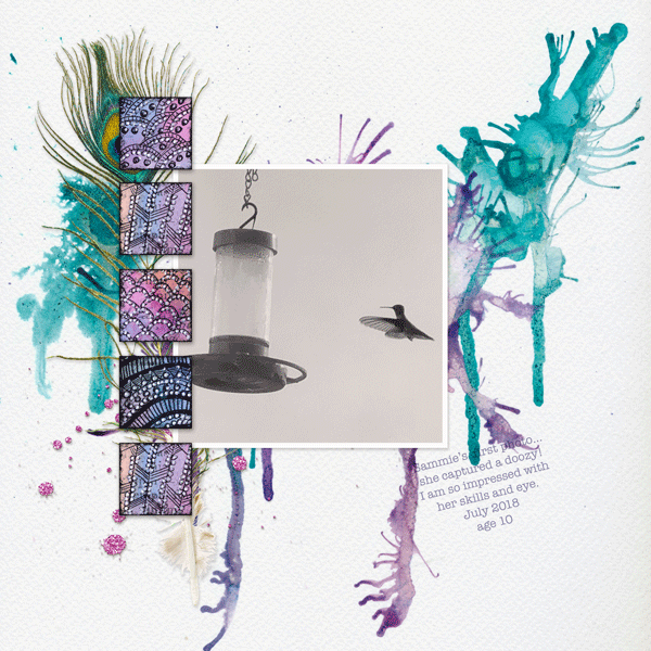 Hummingbird-samweb