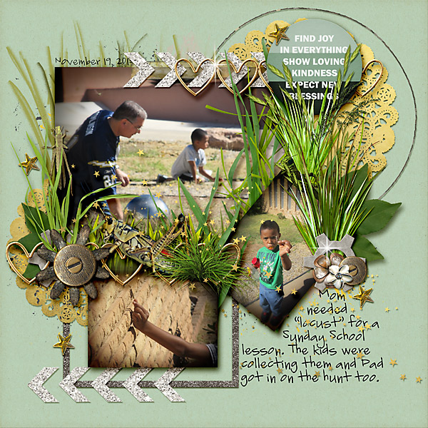 hunt for grasshoppers
