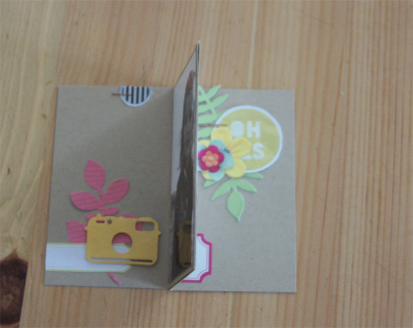 hybrid album in a box