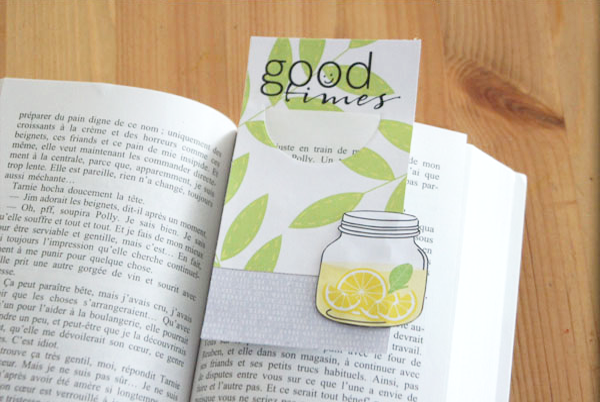 Hybrid bookmarker