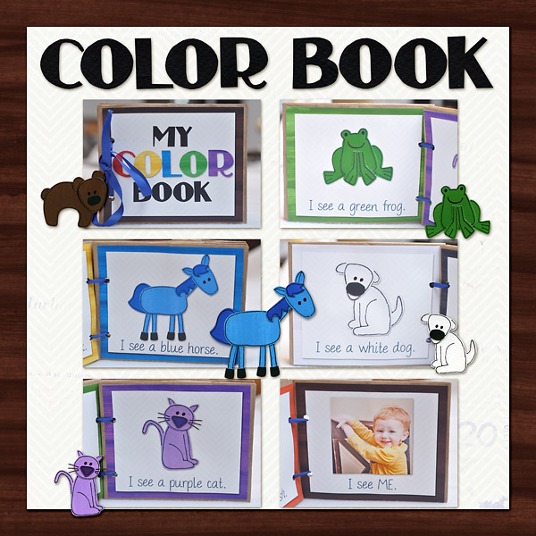 Hybrid Color Book